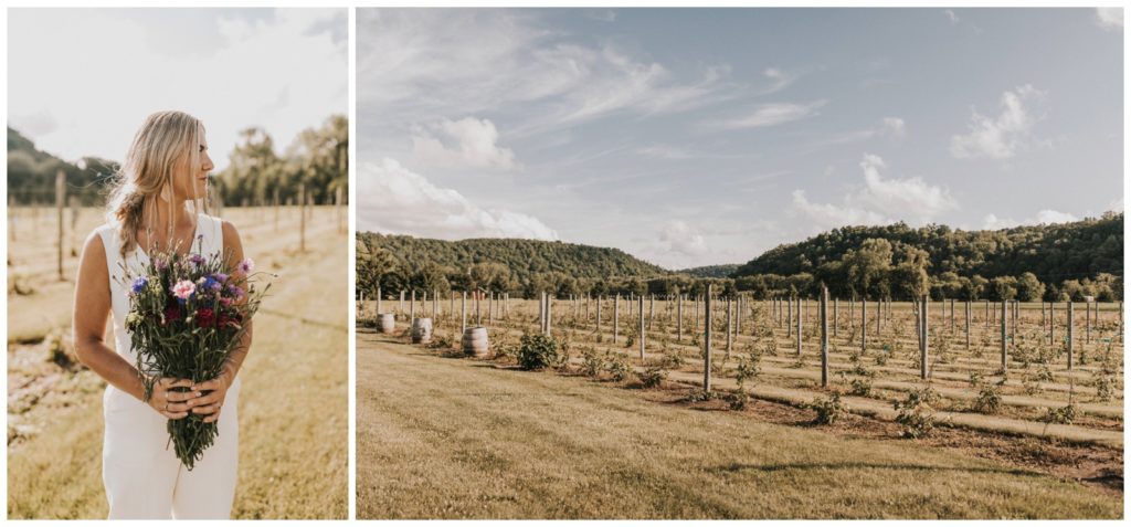 A Surprise Wisconsin Elopement! Vino in the Valley